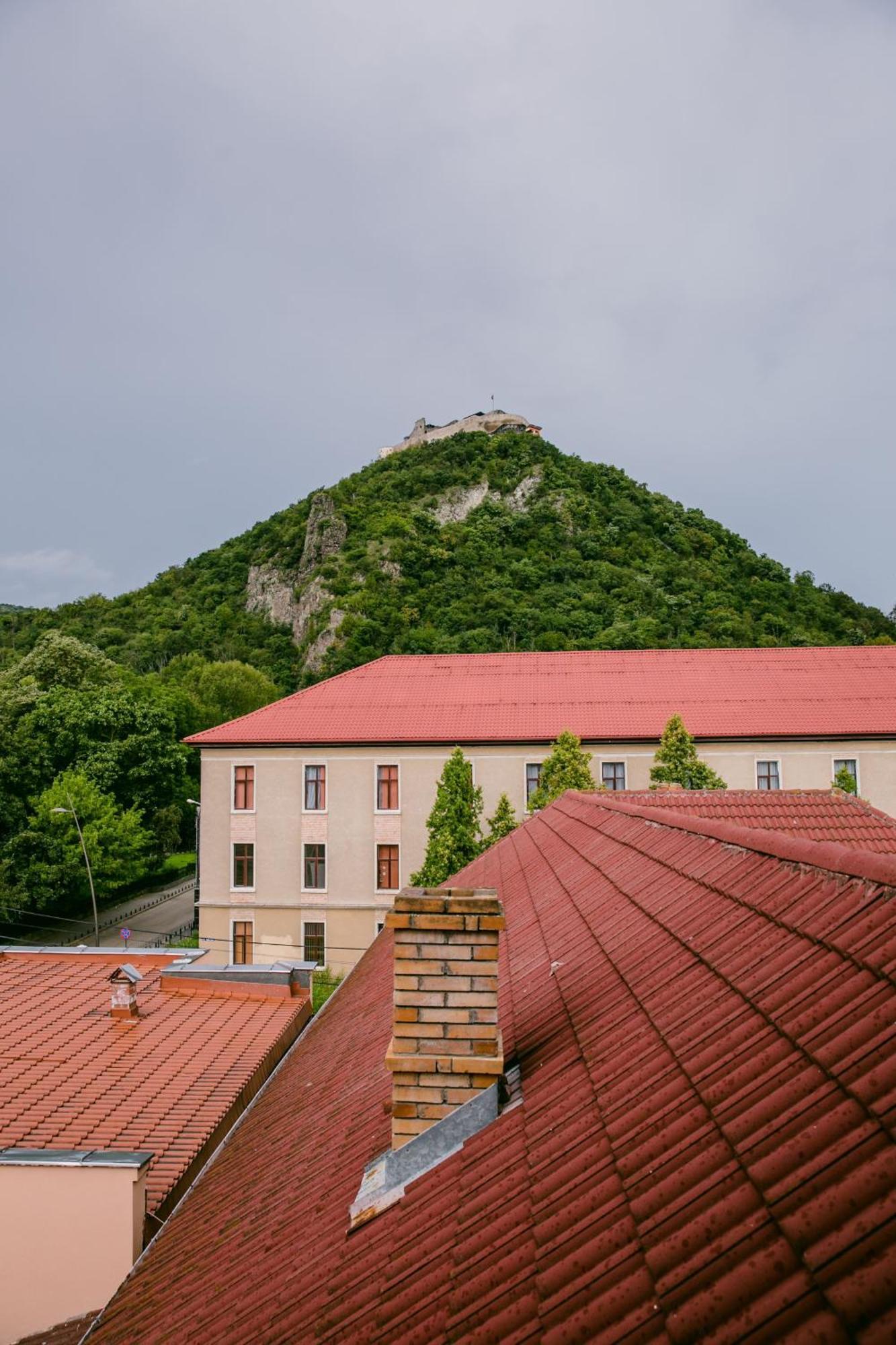 Pensiunea Vila Europa Дева Екстериор снимка